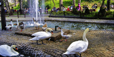 kugulu-park-ankara-cankaya