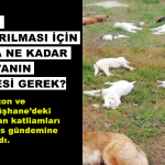 hayvan-katliamlari-soru-onergesi