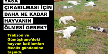 hayvan-katliamlari-soru-onergesi